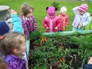 Zahradničíme ve školce